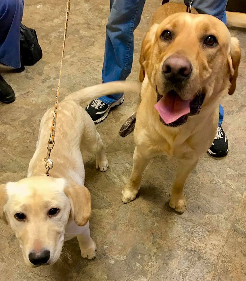 Mishicot Veterinary Clinic Mishicot, WI Home